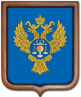 Герб Казначейства РФ 53х61 см, печатный, рамка светлое дерево